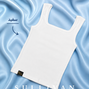 پشت و پیش خشتی